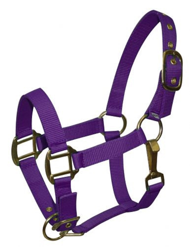 Pony Triple Ply Nylon Halter