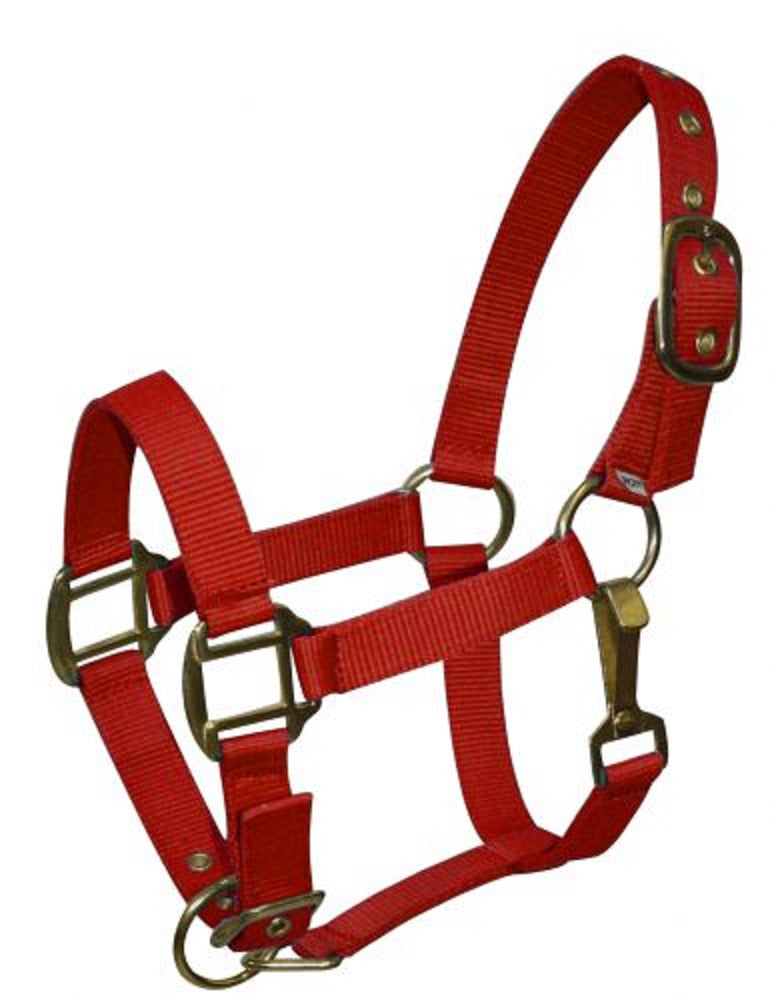 Pony Triple Ply Nylon Halter
