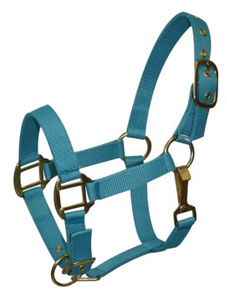 Pony Triple Ply Nylon Halter