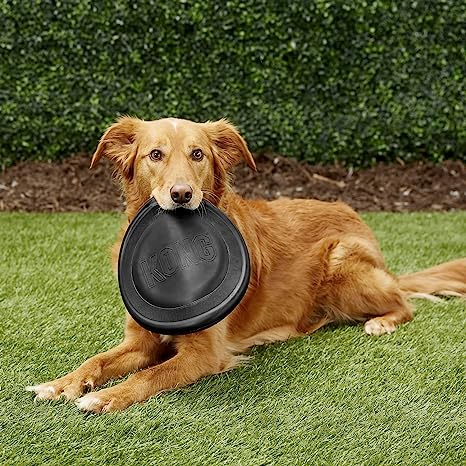 KONG Extreme Flyer Large Black Frisbee Dog Toy