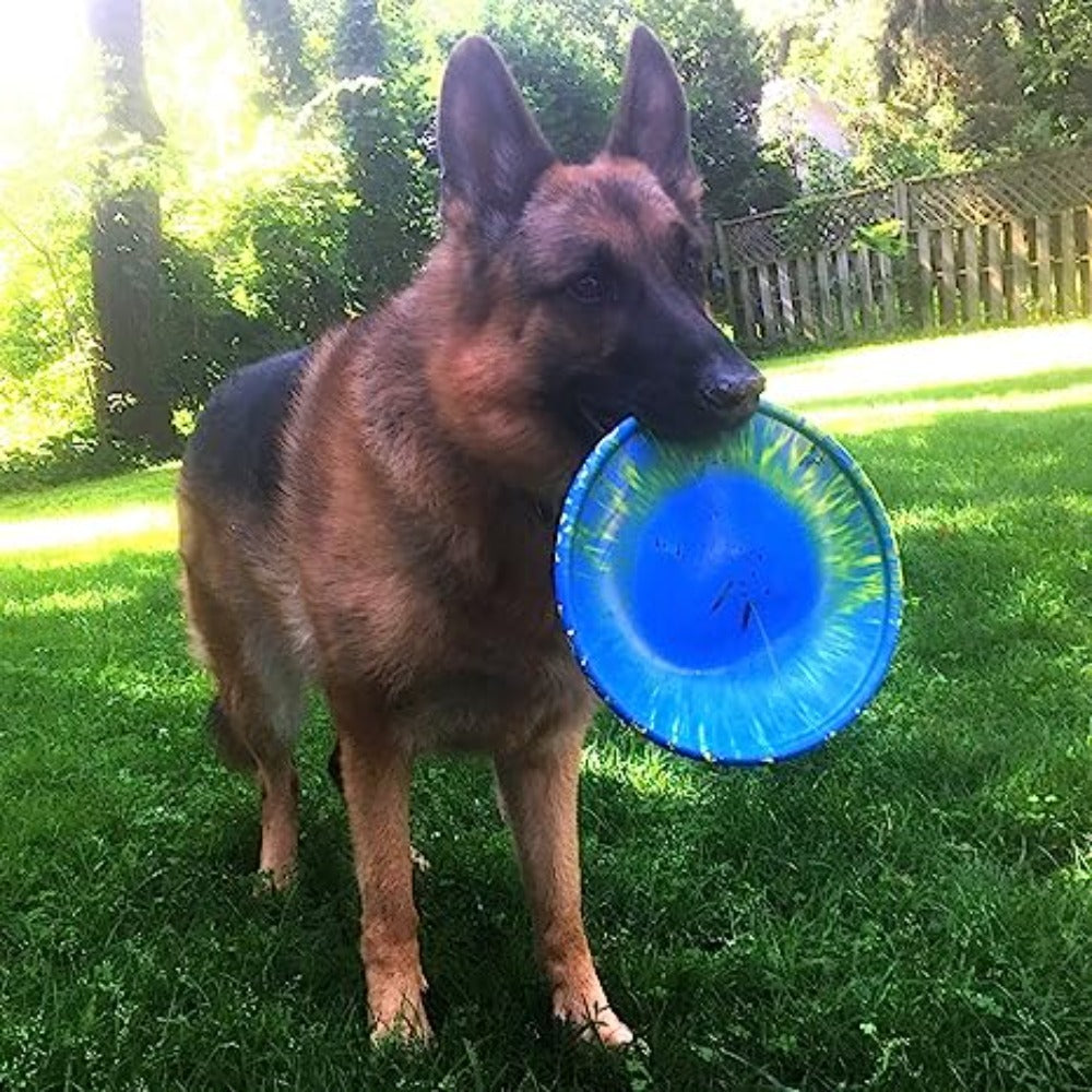 K-9 Flyer Dog Toy