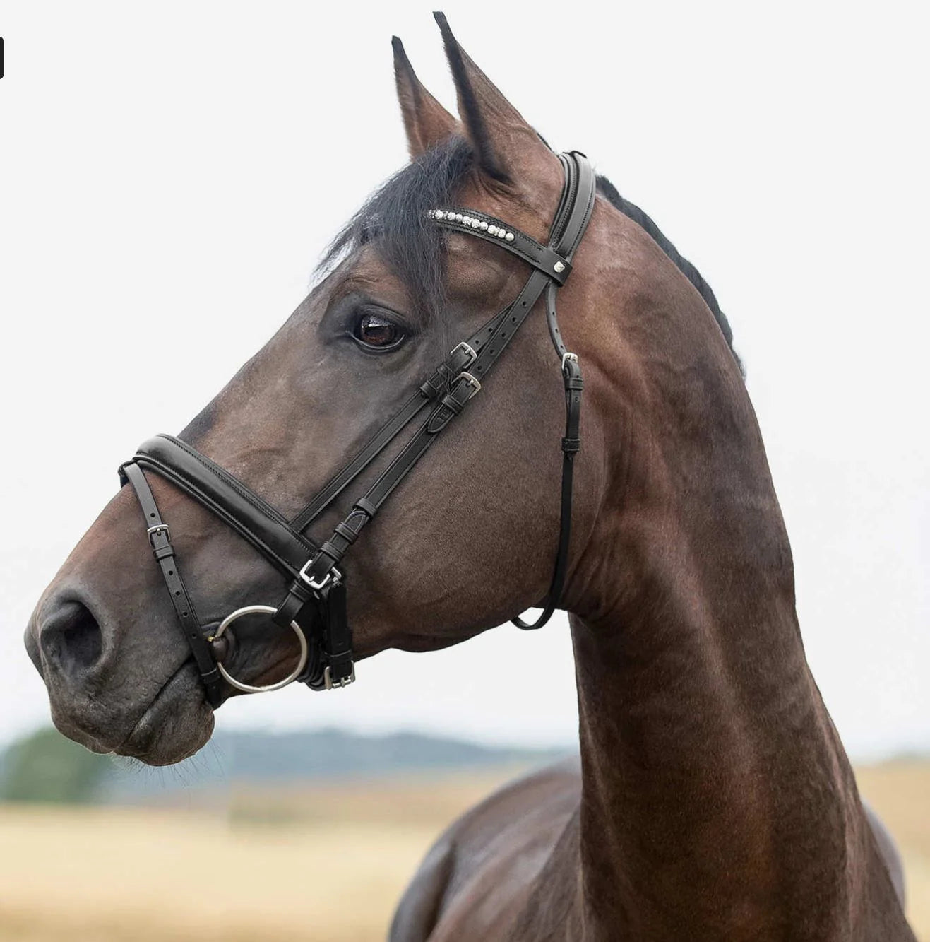 Horze 'Liam' Snaffle Bridle, Pony Size