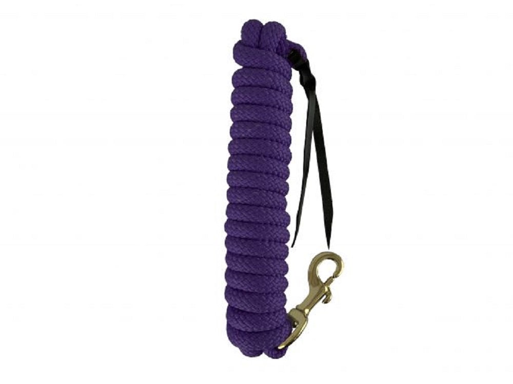 14' Leather End Nylon Pro Braid Training Lead Rope