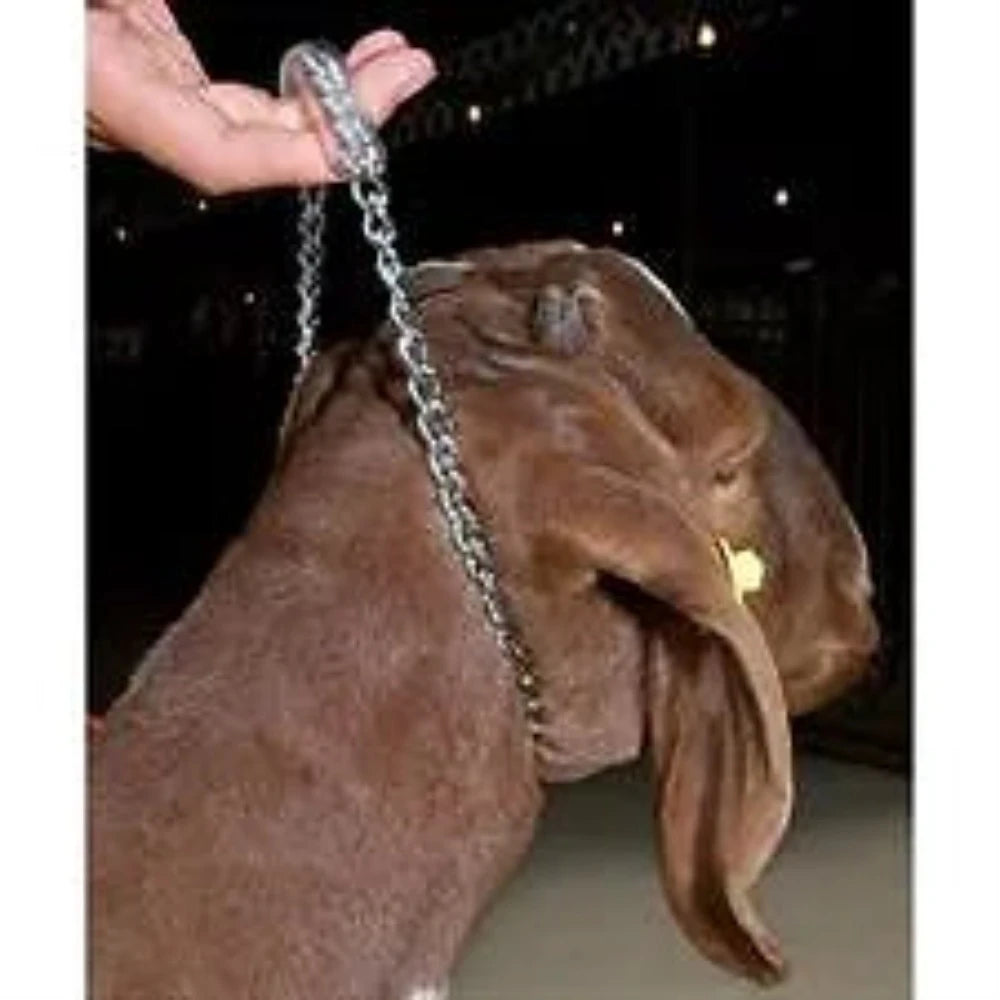 Chain Goat Collar with Rubber Grip 24"