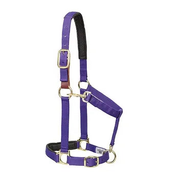 Padded Breakaway Adjustable Chin and Throat Snap Halter