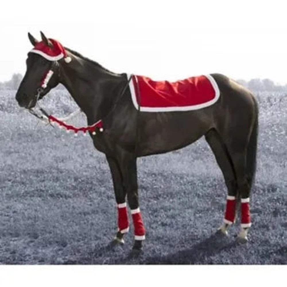 5 pc. Horse Santa Set w/ Hat Leg Wraps Pad +