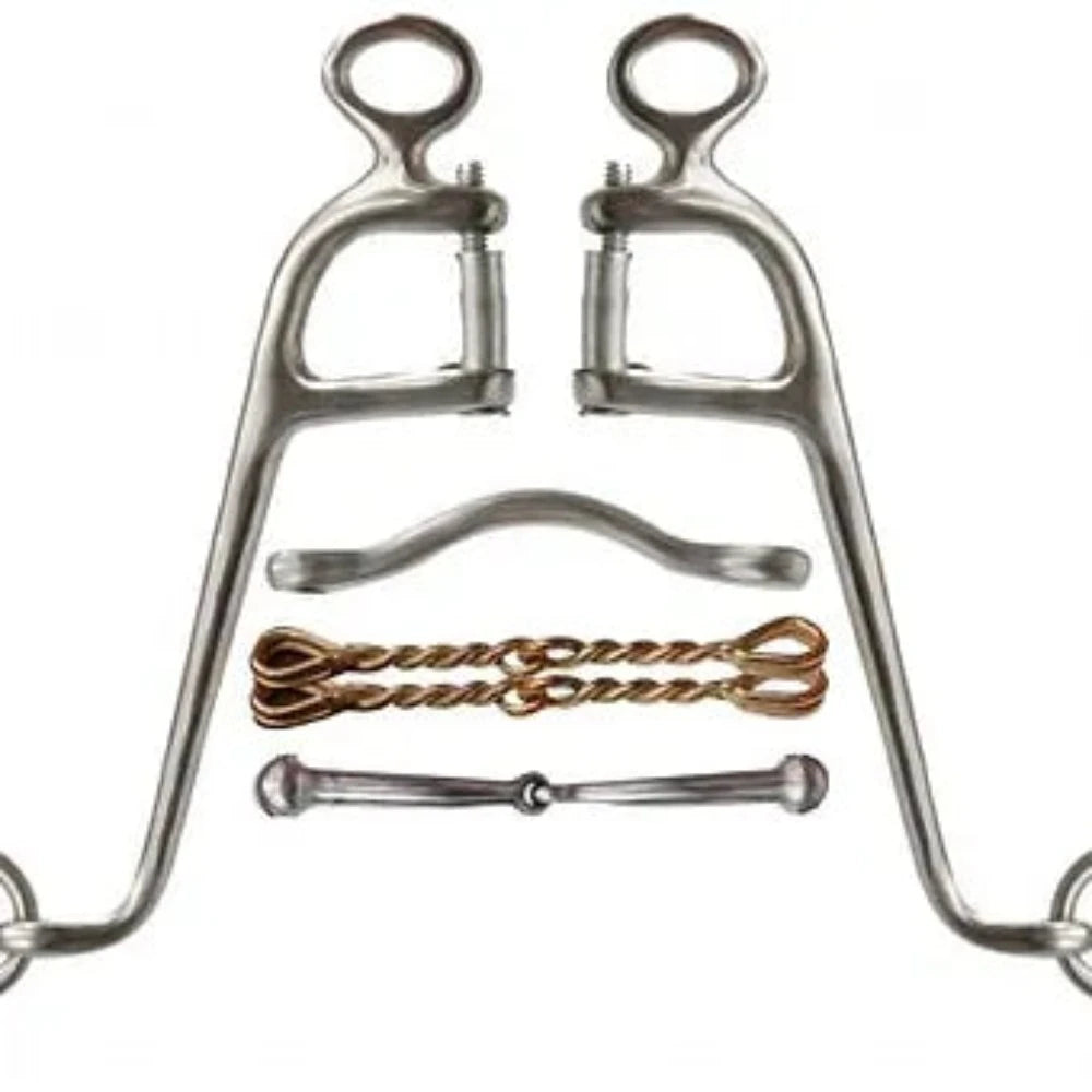 6" Stainless Steel Walking Horse Bit w/ 4 Mouth Pieces