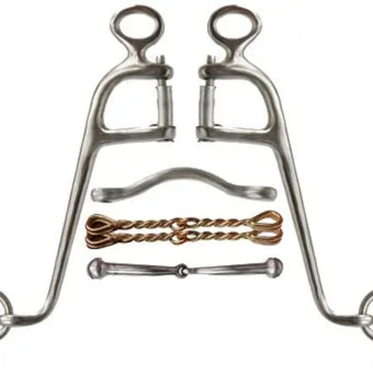 6" Stainless Steel Walking Horse Bit w/ 4 Mouth Pieces