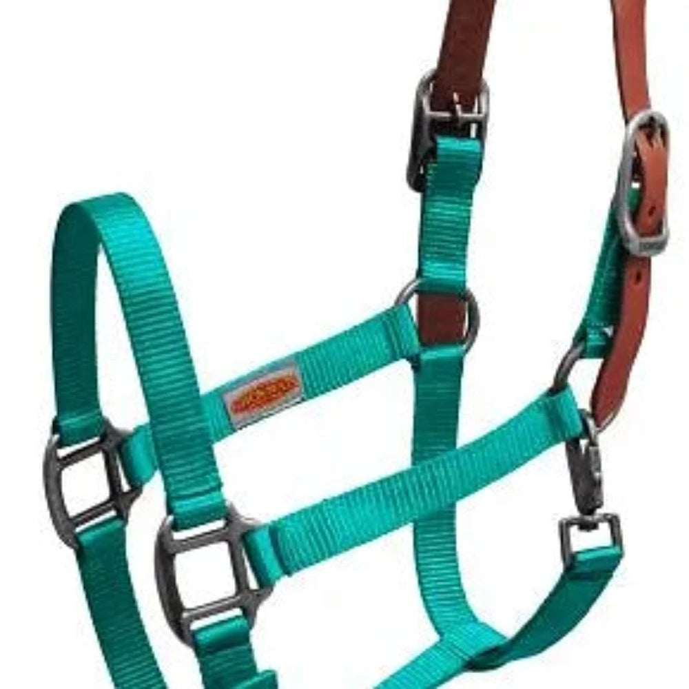 Breakaway Nylon Halter, Color choice