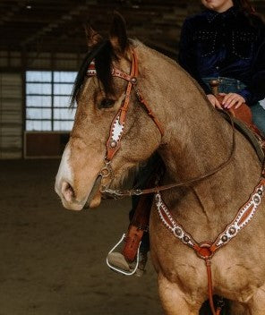 Schulz Equine 'Doc Holiday' Medium Oil Bridle Breast Collar Set