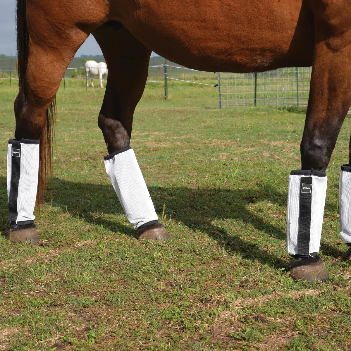 4 pack Reinsman Horse Fly Boots