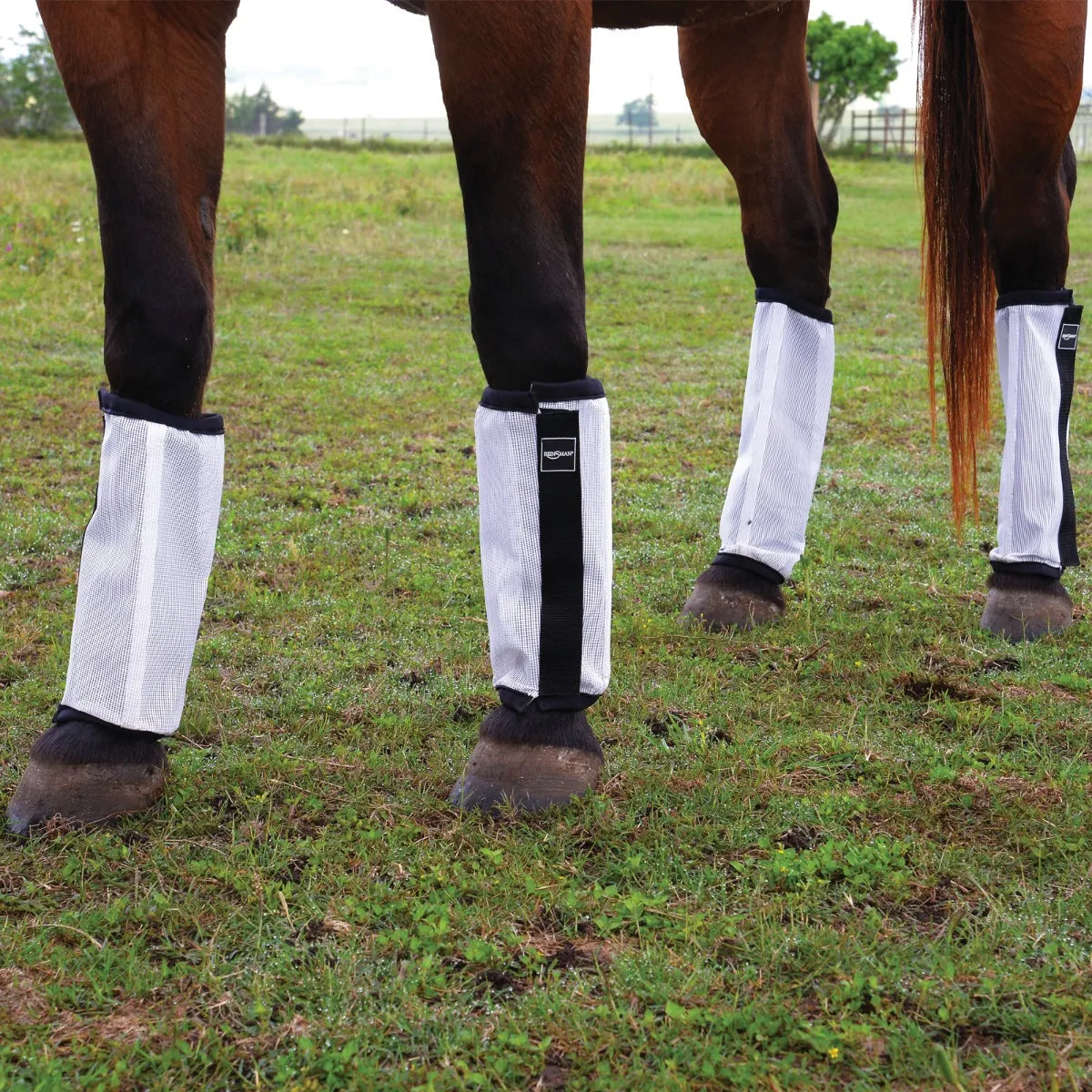 4 pack Reinsman Horse Fly Boots