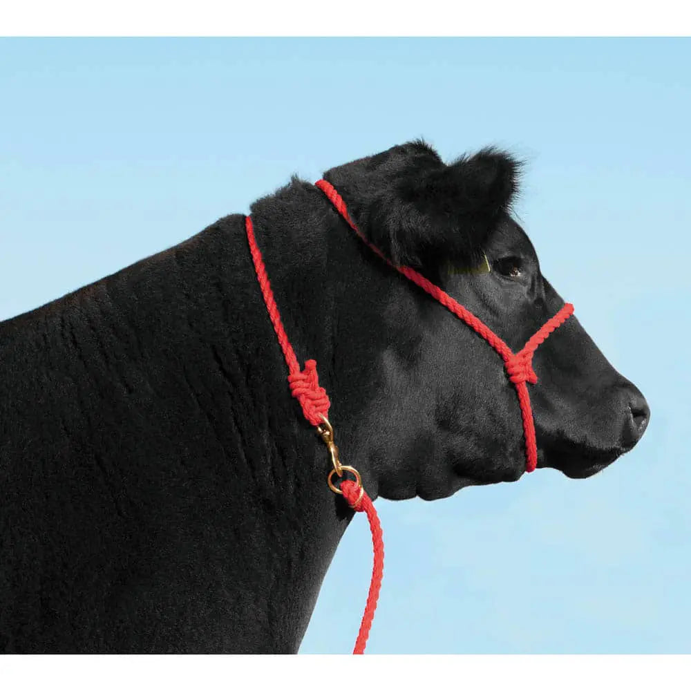 Hamilton Cow Poly Rope Neck Halter