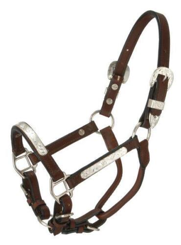 Tough-1 Dark Oil Leather Mini Show Halter w/ Silver Accents
