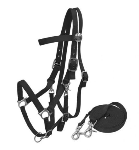 Nylon Combination Halter Bridle with Reins