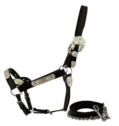 Horse size Dark Oil Silver Bar Show Halter w/ 6' Lead
