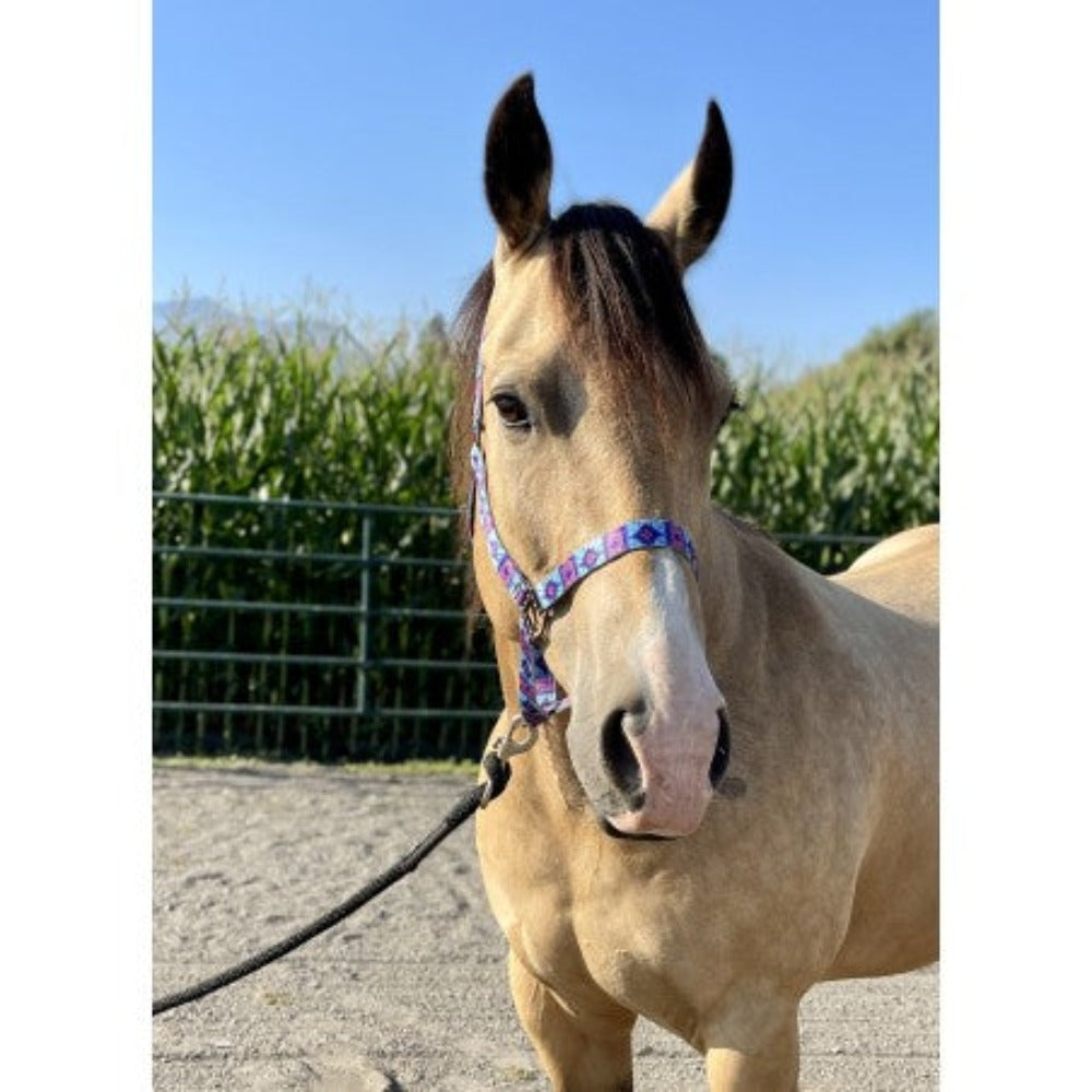 Average horse size Schulz Equine 'Bubble Gum Aztec' Halter