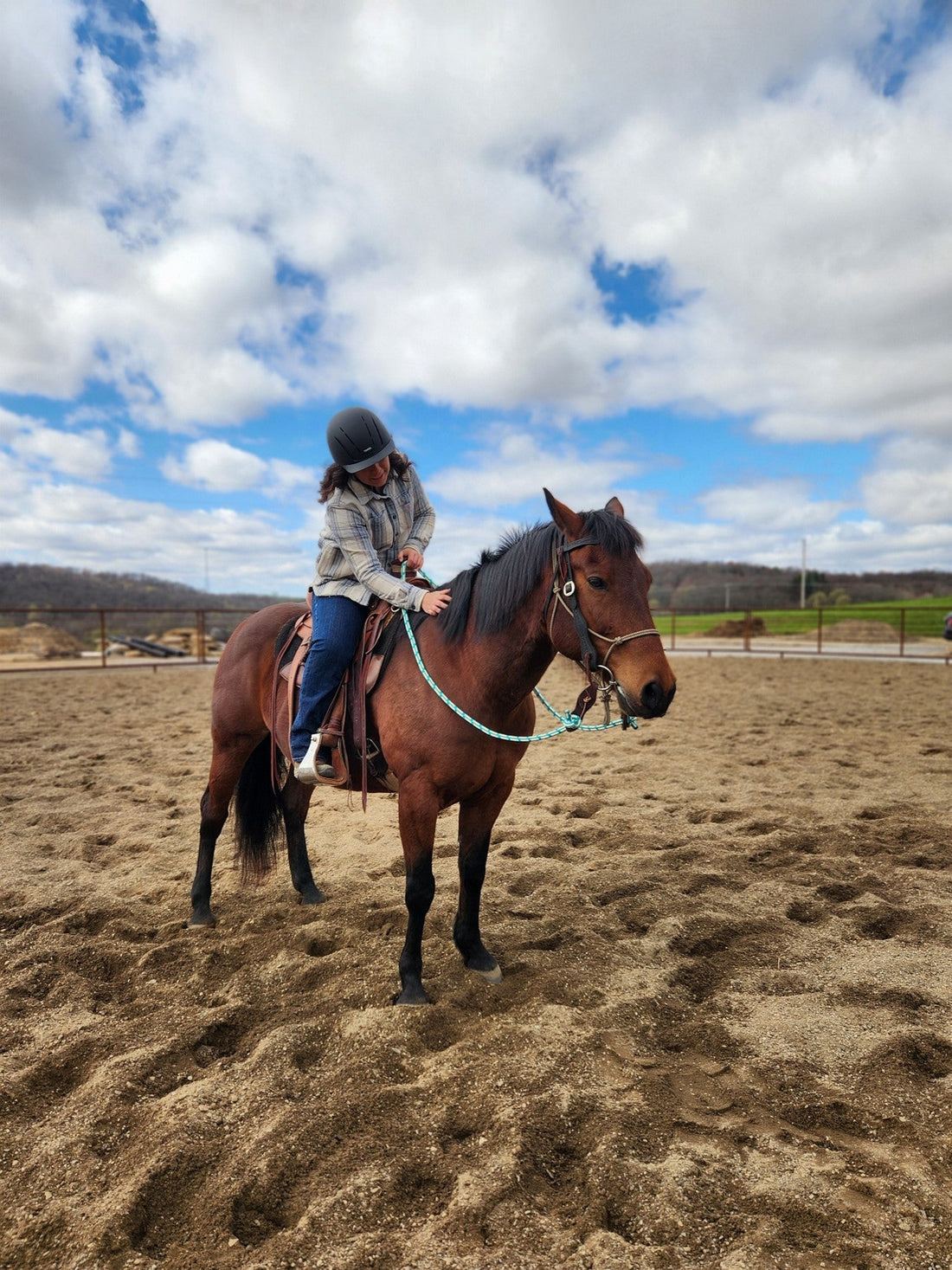 A Horse’s Nature and Basic Needs By: Nicole Shoup Horsemanship