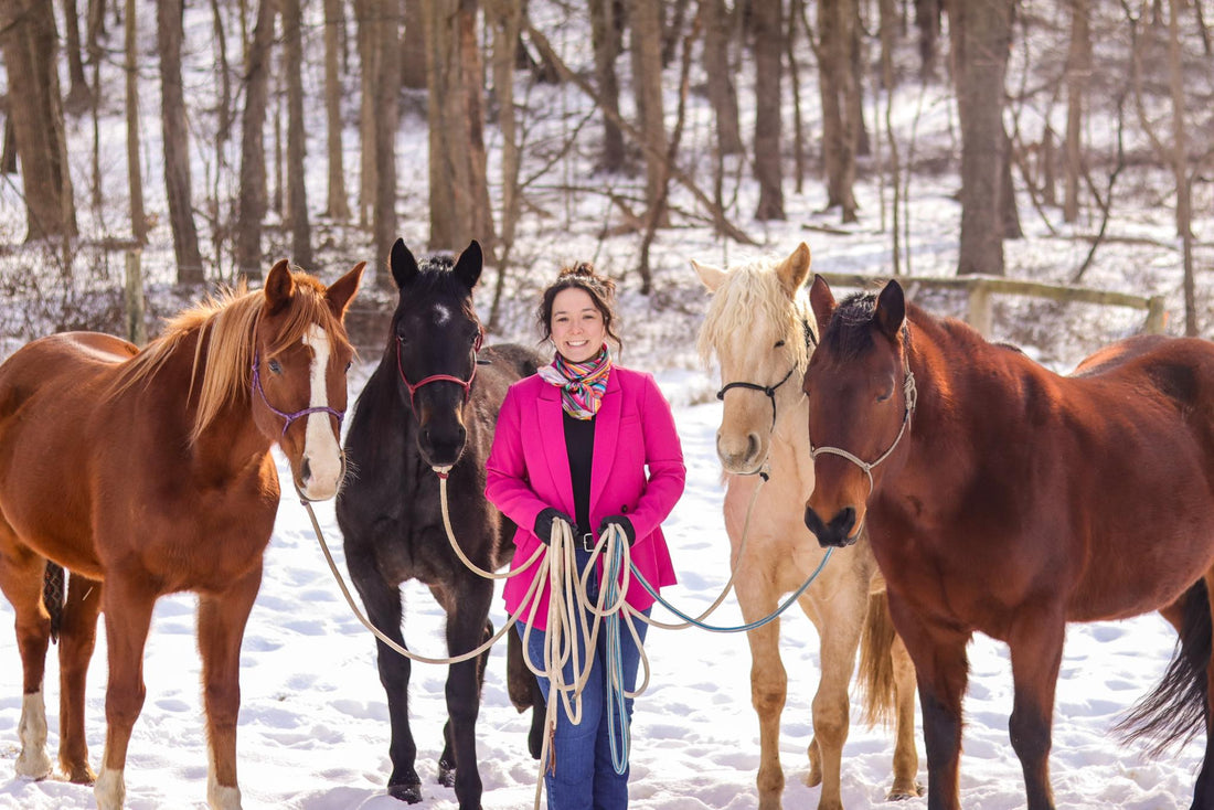 Approaching New Obstacles With Your Horse- The Mattress By Nicole Shoup Horsemanship