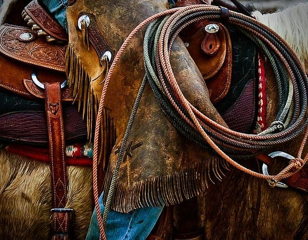 Shop Rodeo Gear for Cowboys & Riders β Tack N More