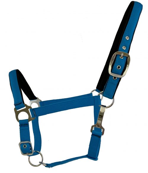 Fluorescent Color Average Horse Halter