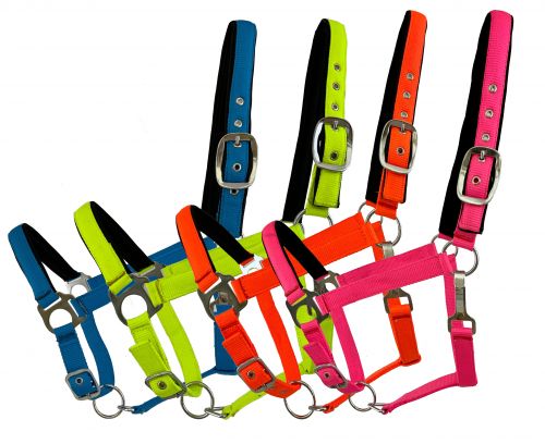 Fluorescent Color Average Horse Halter