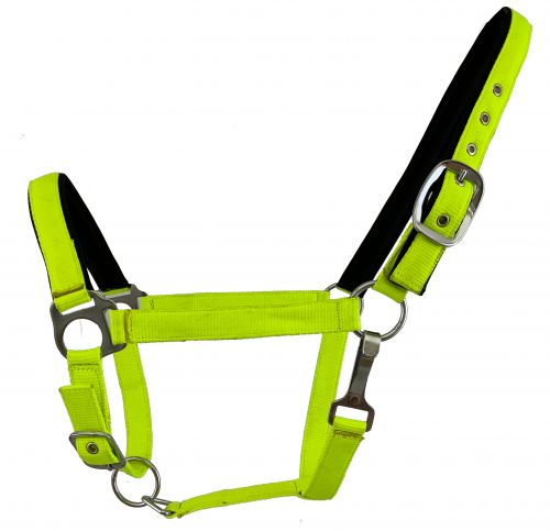 Fluorescent Color Average Horse Halter