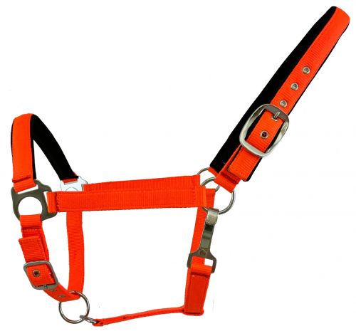 Fluorescent Color Average Horse Halter