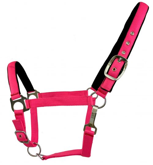 Fluorescent Color Average Horse Halter