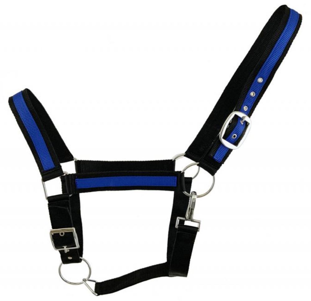 Draft horse size Nylon Halter w/ Accent color