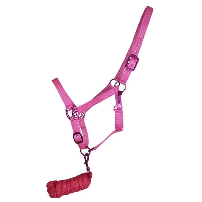 Showman Triple Ply Nylon Halter with Powder Coated Hardware - Yearling/Small Horse