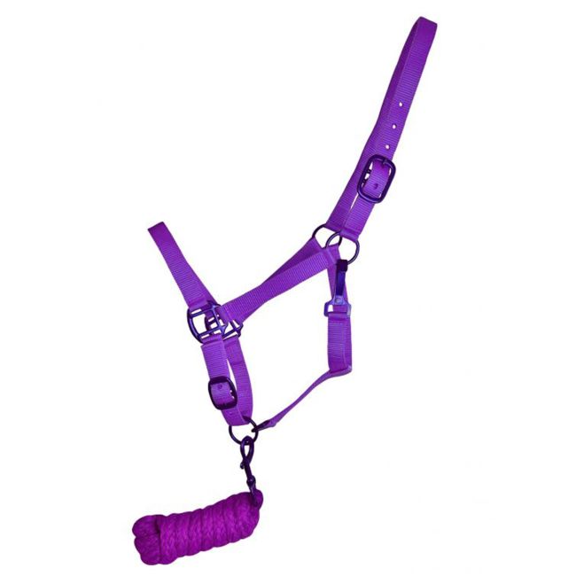 Showman Triple Ply Nylon Halter with Powder Coated Hardware - Yearling/Small Horse