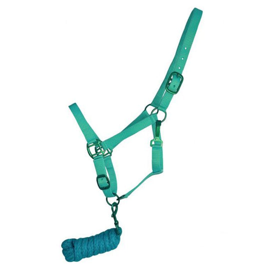 Showman Triple Ply Nylon Halter with Powder Coated Hardware - Yearling/Small Horse