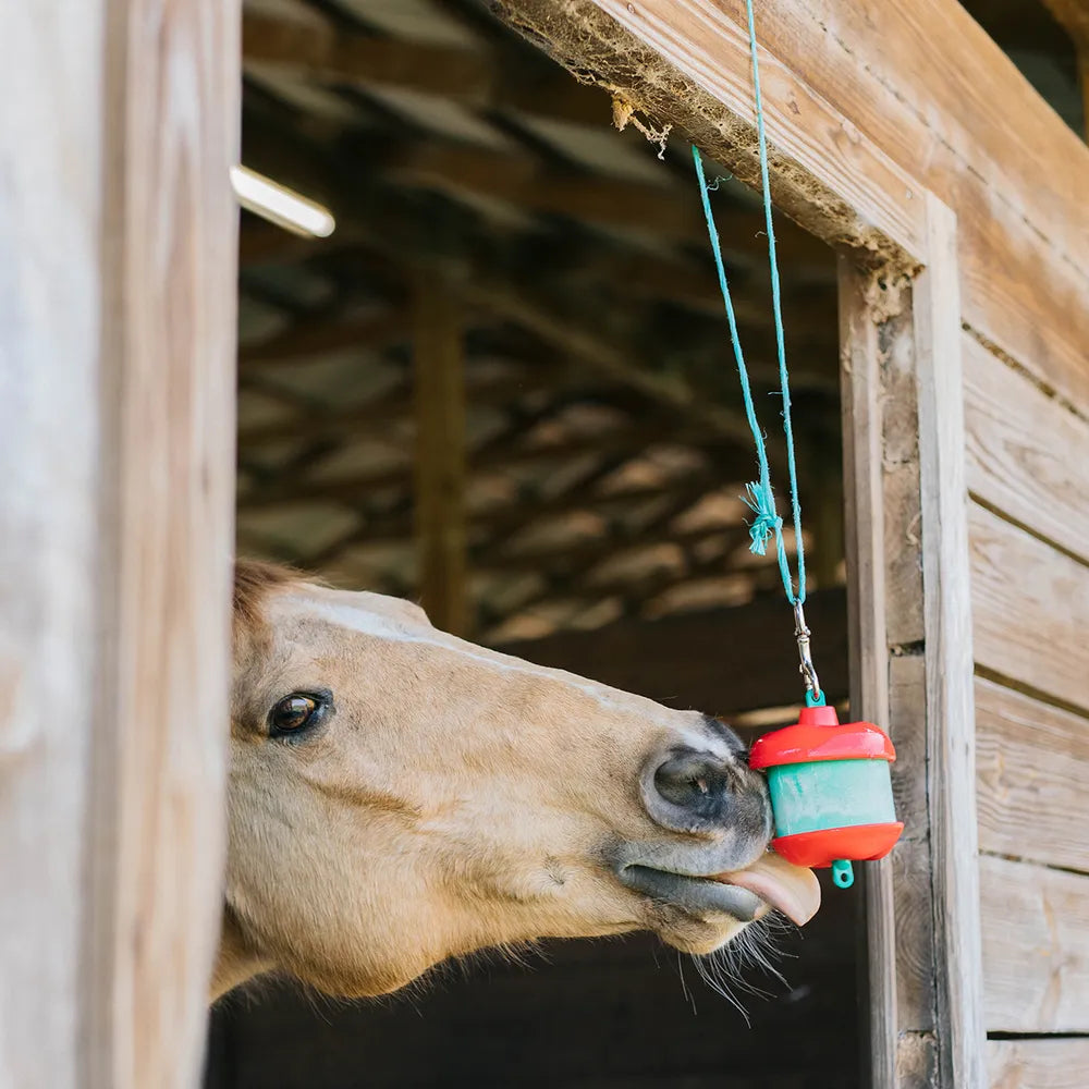 Horsemen's Pride Jolly Stall Apple Shaped Hanging Snack Treat Holder