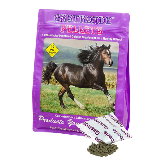 Gastroade Calcium Supplement for Horses