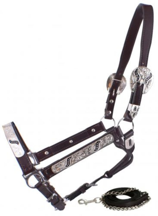 Horse Size Show Halter With Black Scroll Design