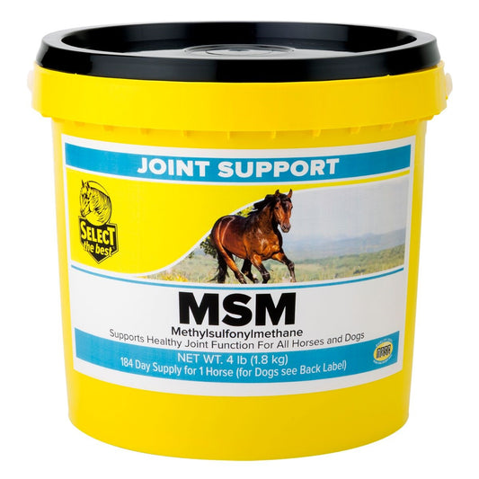 MSM Joint Supplement for Horses 4 lbs.