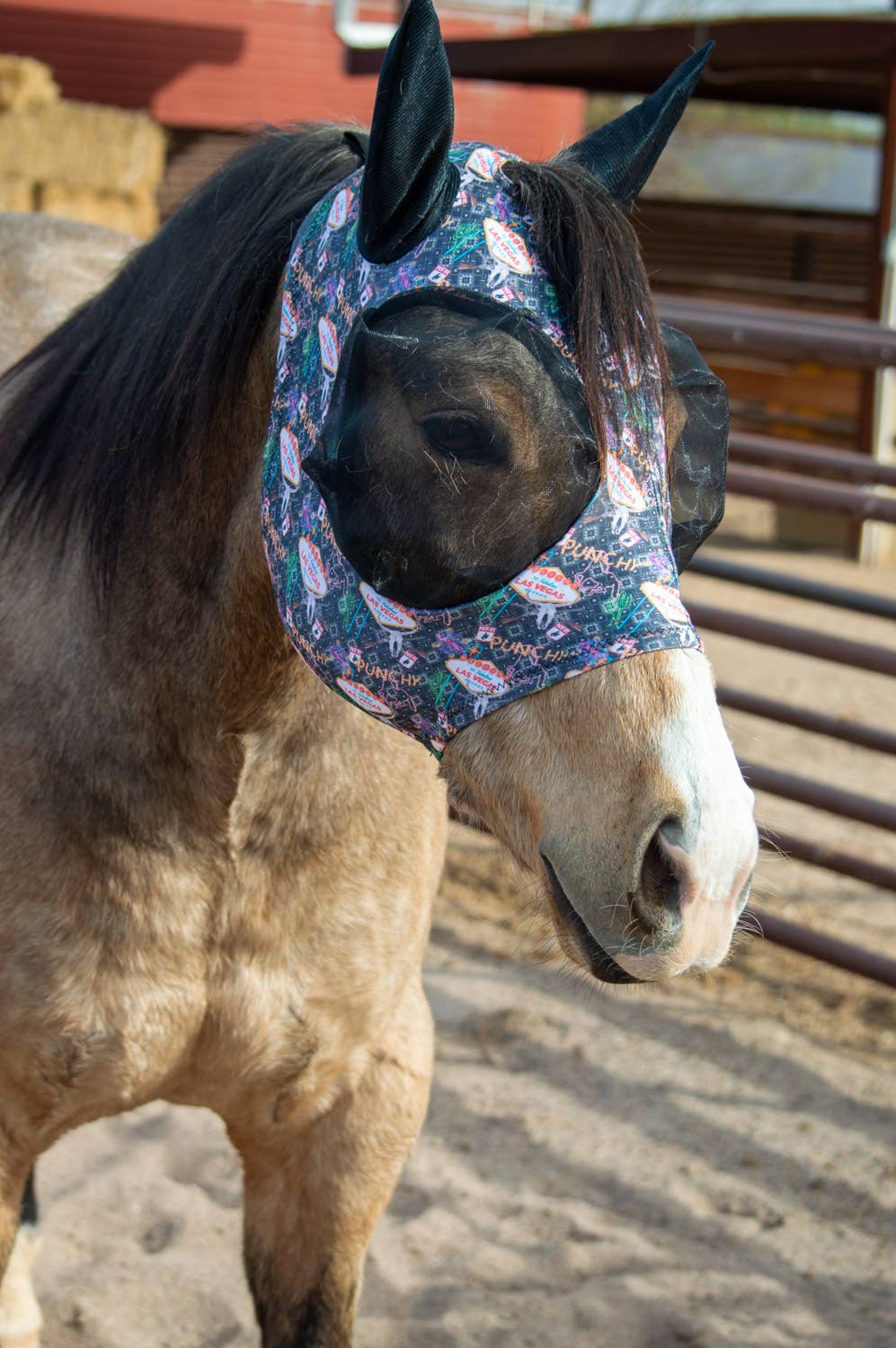 Schulz Equine Fly Mask