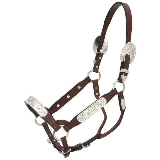 Weanling size Berry Edge Congress Show Halter