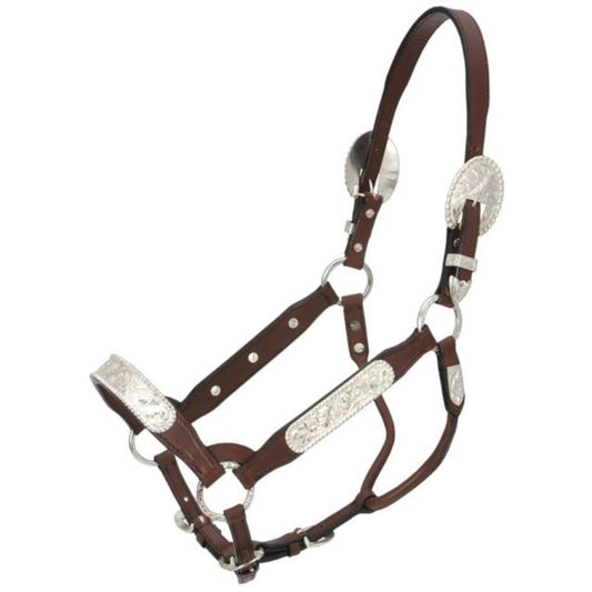 Full Horse size Berry Edge Congress Show Halter