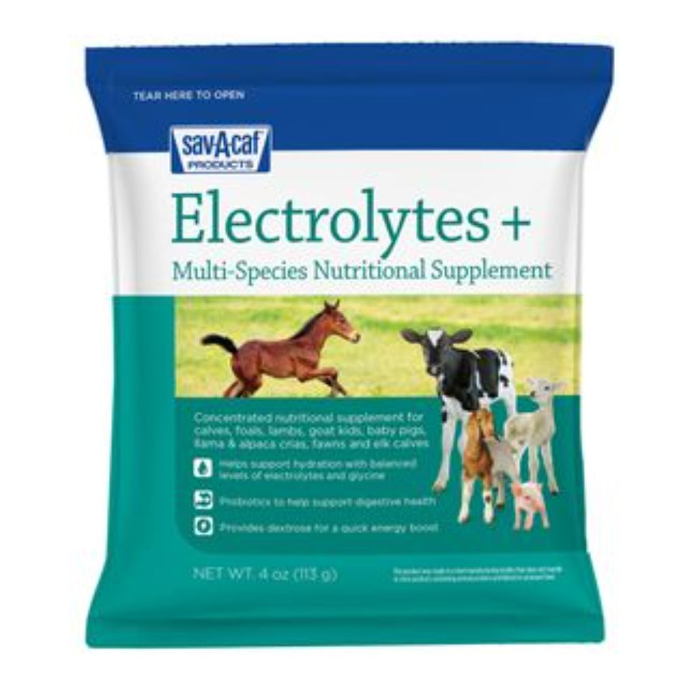 Electrolytes + Supplement 4 oz.