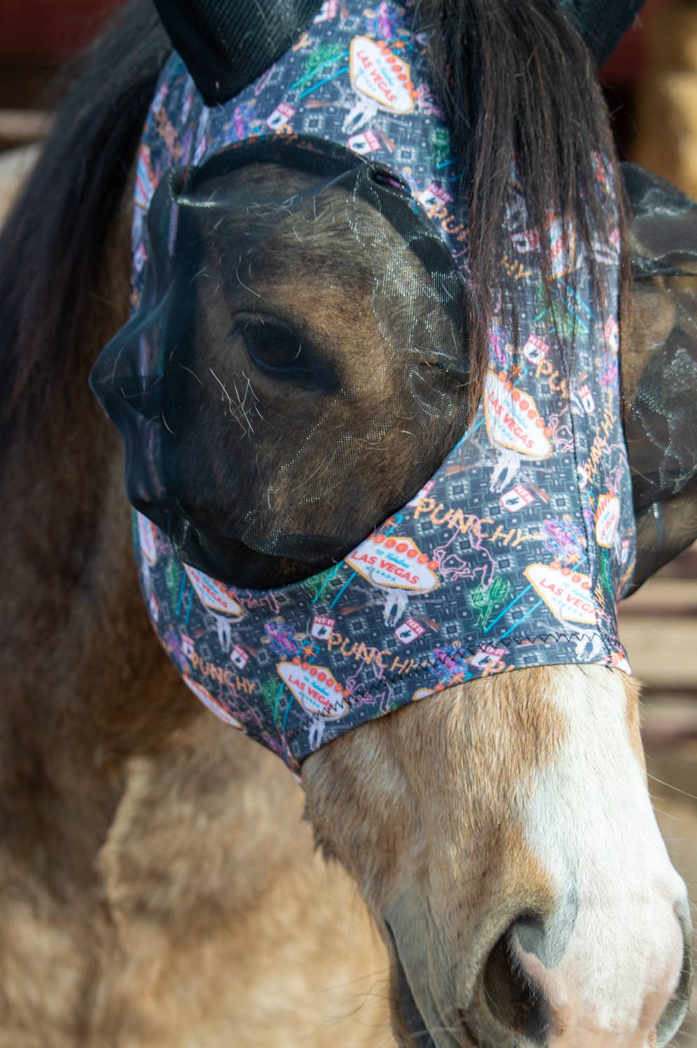 Schulz Equine Fly Mask