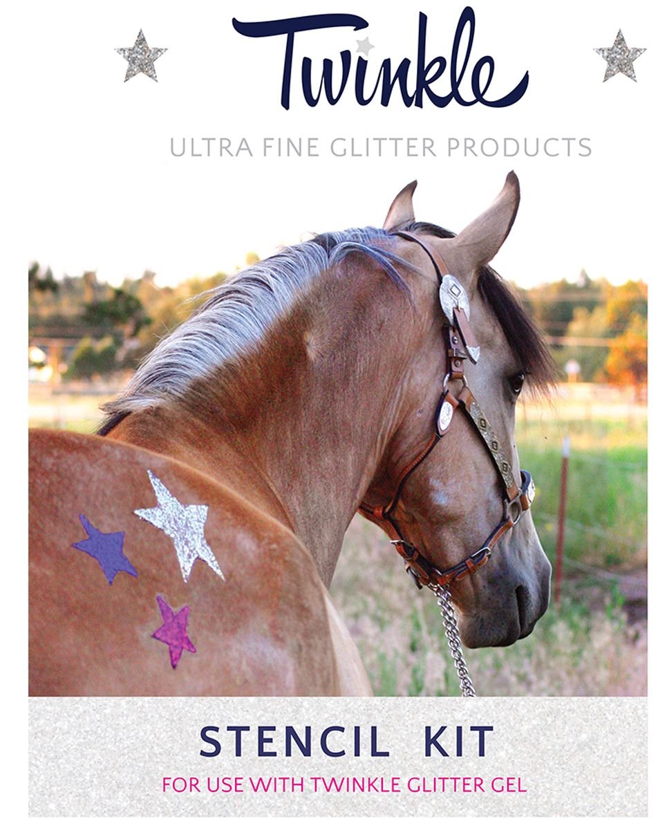 Twinkle Glitter Stencil Kit For Horses