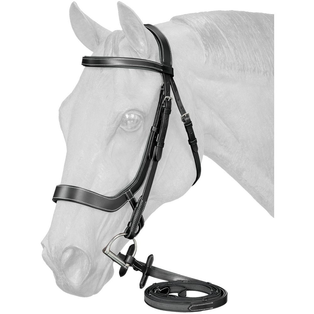 Equitare Cadence Ergonomic English Bridle