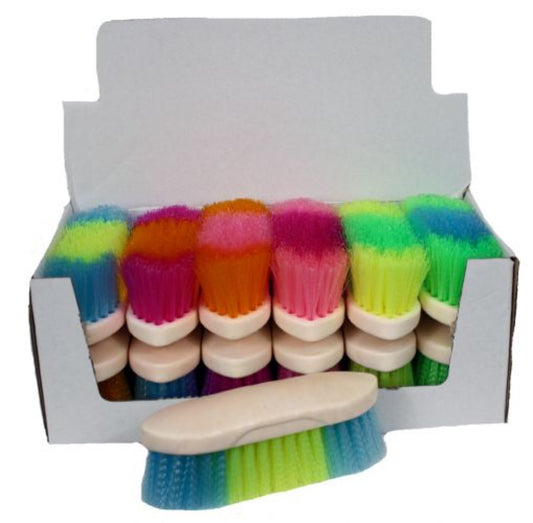 Rainbow Colored Stiff Bristle Brush w/ Plastic handle