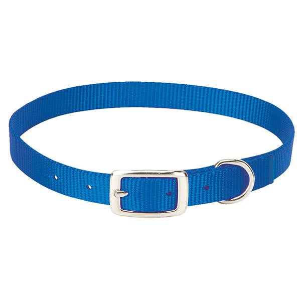 Medium Goat Collar, 7 Colors