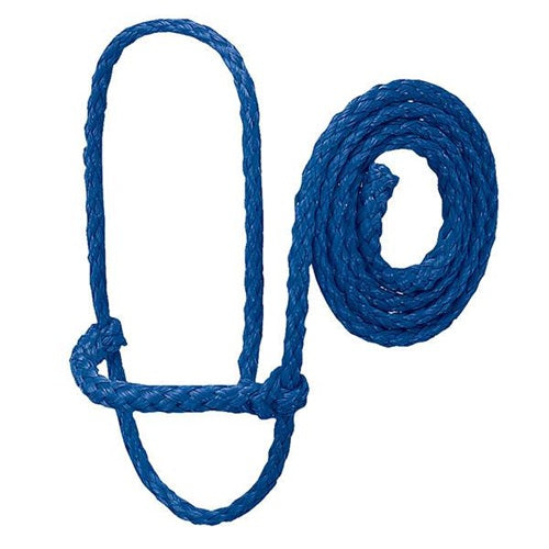 4' foot Poly Rope Sheep Halter