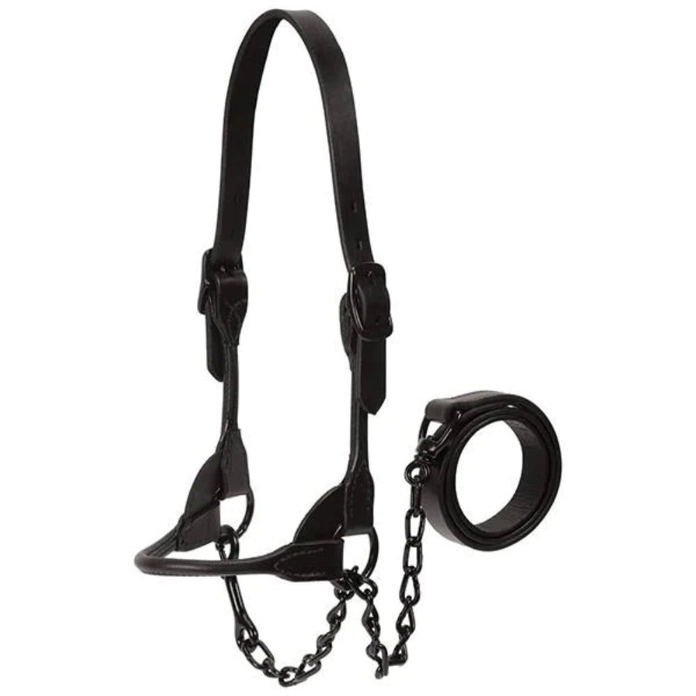 Bull Ialter Black Magic Cow Leather Show Halter – Tack N More