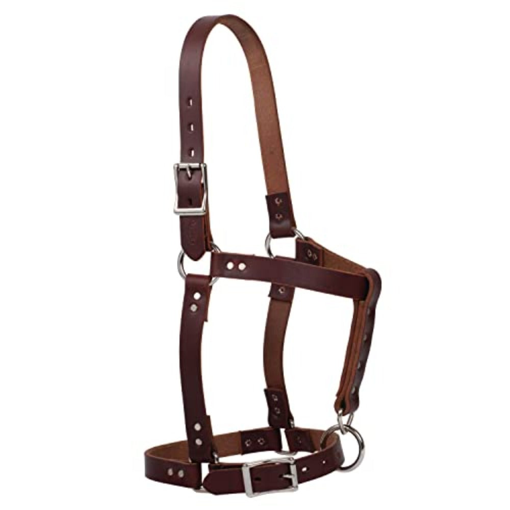 Riveted Weanling Canyon Rose Halter