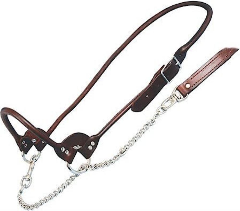 Rolled Nosed Brown Leather Cow Show Halter